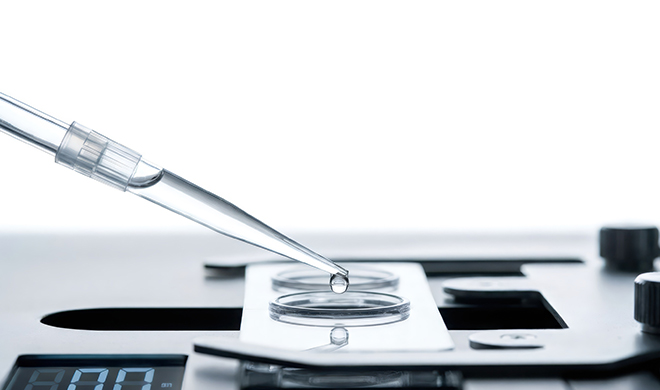 Diagnostic and Staging Procedures